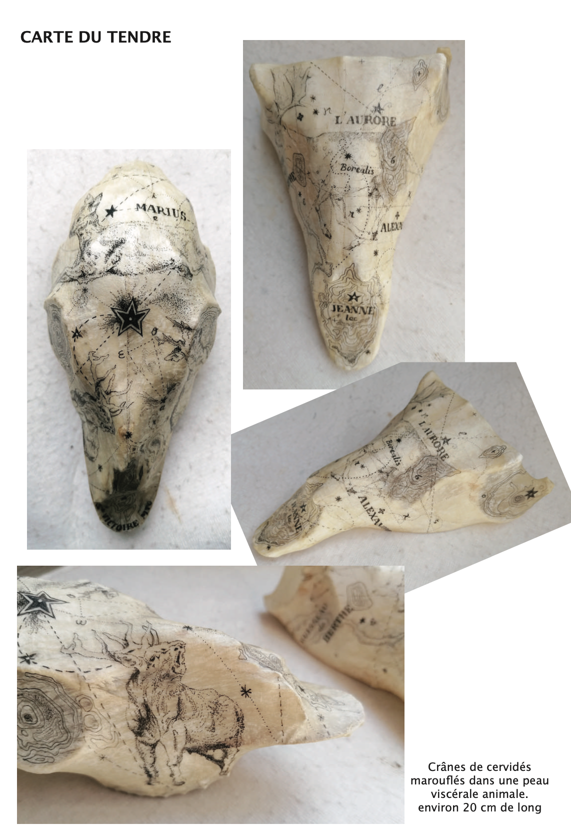 Julie Dalmon, Carte du tendre 2024