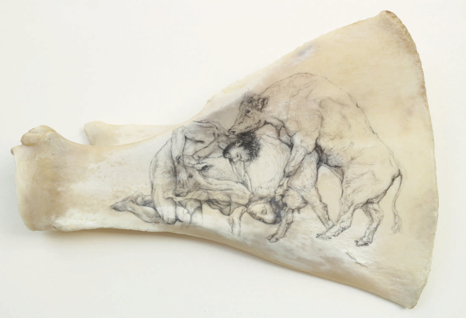 Julie Dalmon, graphite sur os, 30x20x6cm