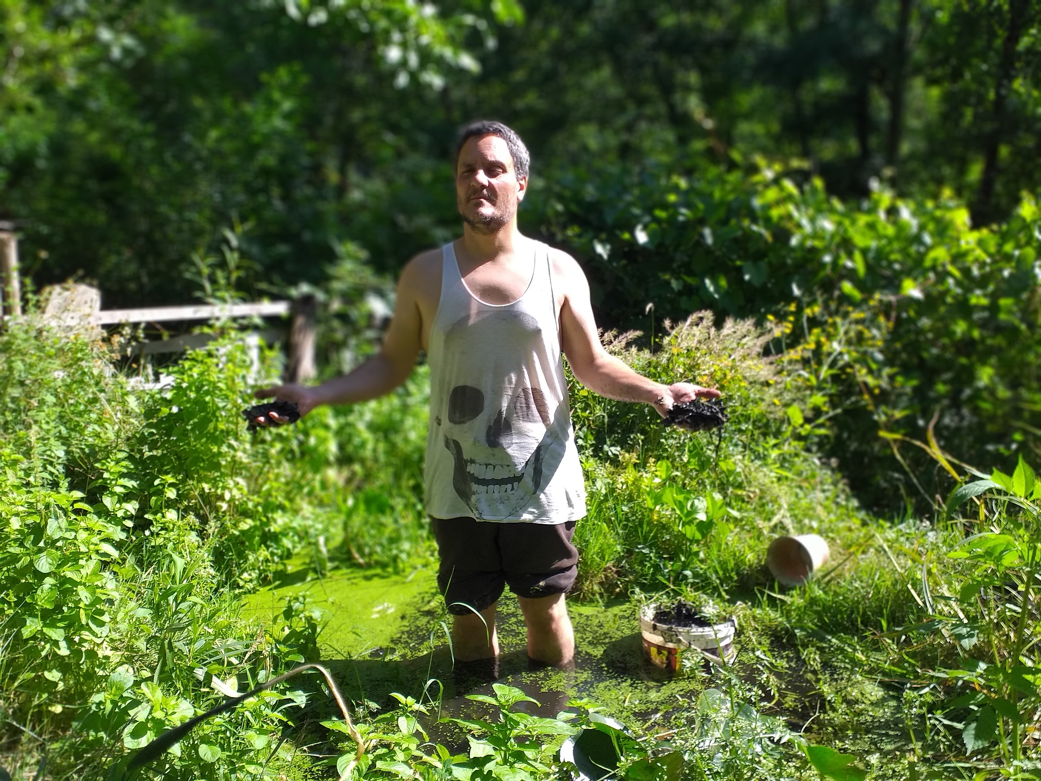 Vicky Fischer, les fleurs de mon jardin de Banlieu Parisienne, 50x70cm, 2025