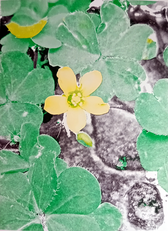 Reeve Schumacher, River Talisman, 2023